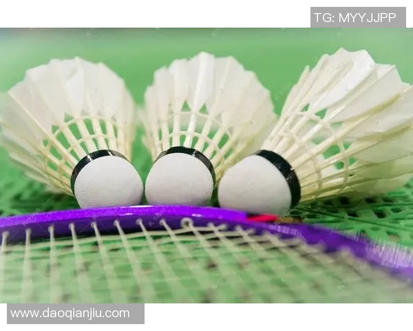 羽毛球的魅力与挑战:探寻北京羽毛球队的训练与比赛节奏 羽毛球的魅力与挑战:探寻北京羽毛球队的训练与比赛节奏