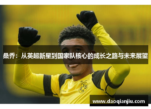 桑乔：从英超新星到国家队核心的成长之路与未来展望